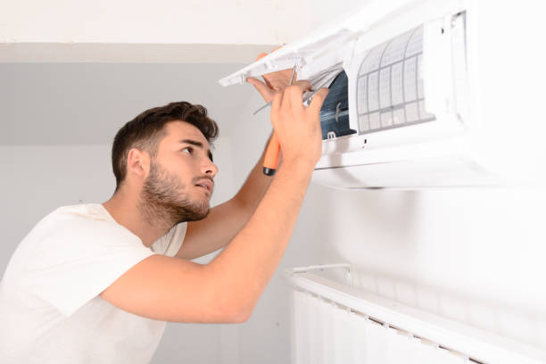 Best Air Duct Mold Removal  in Hyattsville, MD